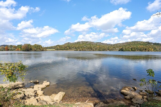 water view featuring a forest view