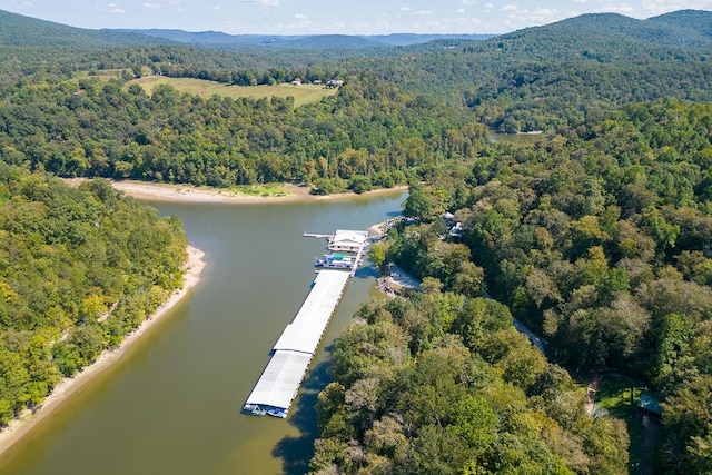 bird's eye view with a view of trees and a water and mountain view