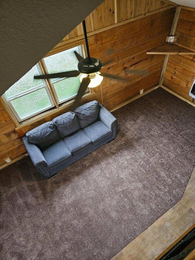 room details with wood walls and carpet