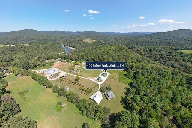 bird's eye view featuring a mountain view and a view of trees