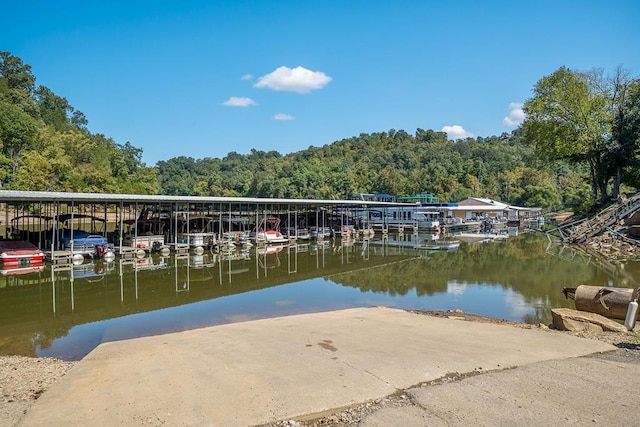 view of dock featuring a water view and a view of trees