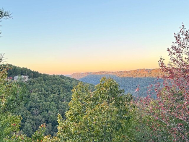 0 Panther Falls Rd, Wilder TN, 38589 land for sale