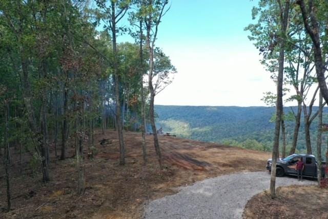 520 Bear Knob, Crawford TN, 38554 land for sale