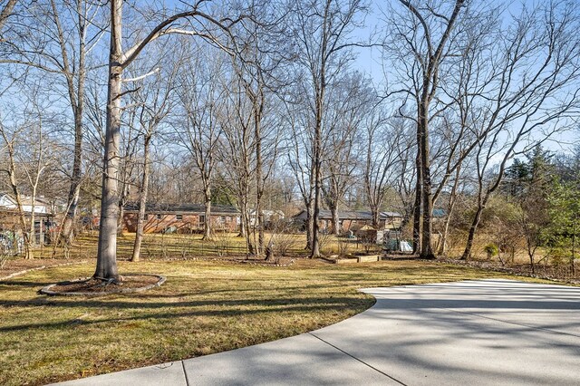 view of yard featuring a residential view