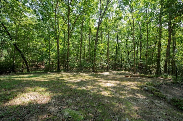 view of yard featuring a view of trees