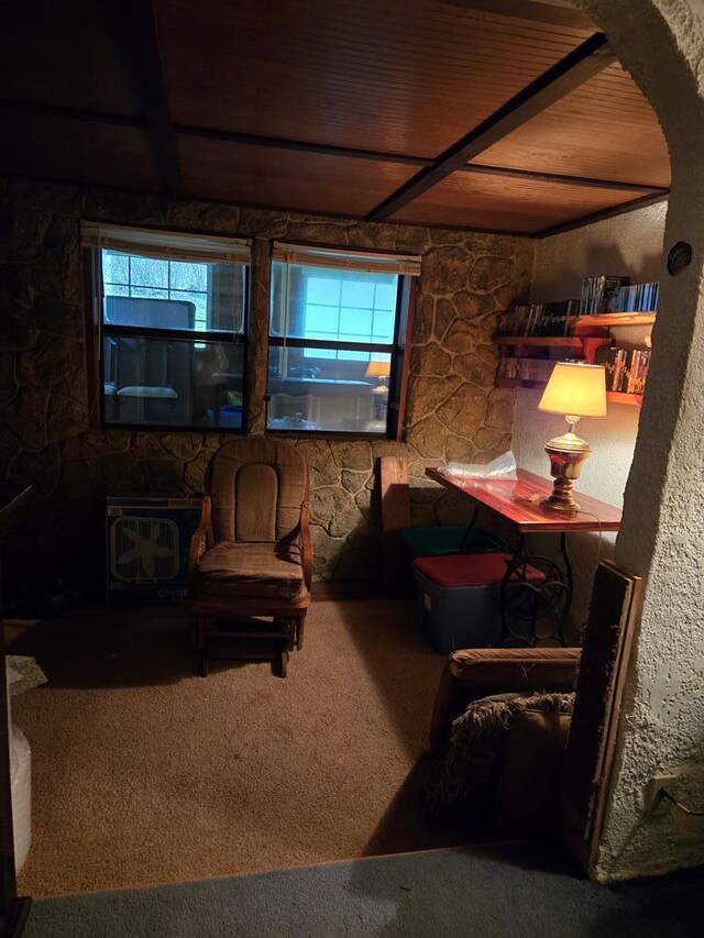 sitting room with carpet and a wood stove