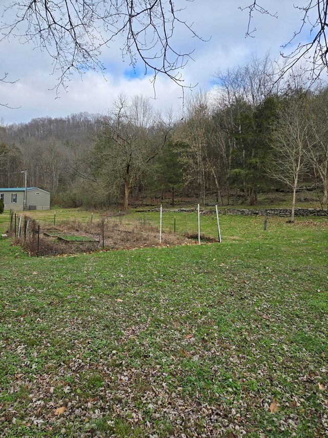 view of yard with a rural view