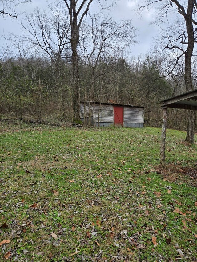 view of yard featuring an outdoor structure