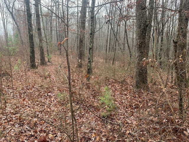 Listing photo 3 for 1.4ACRE Hillis Cemetery Rd, Spencer TN 38585