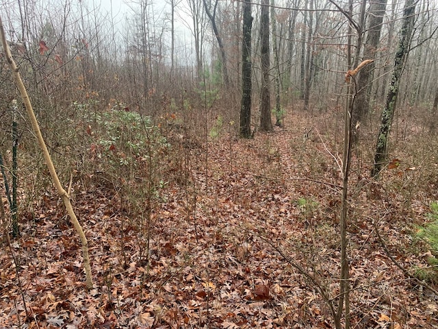 Listing photo 2 for 1.4ACRE Hillis Cemetery Rd, Spencer TN 38585