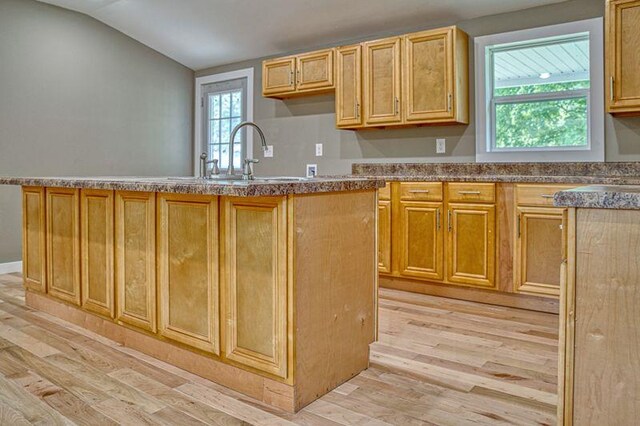 kitchen featuring light wood-type flooring, a sink, and a wealth of natural light