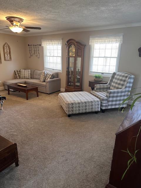 carpeted bedroom featuring ornamental molding, a textured ceiling, and a ceiling fan