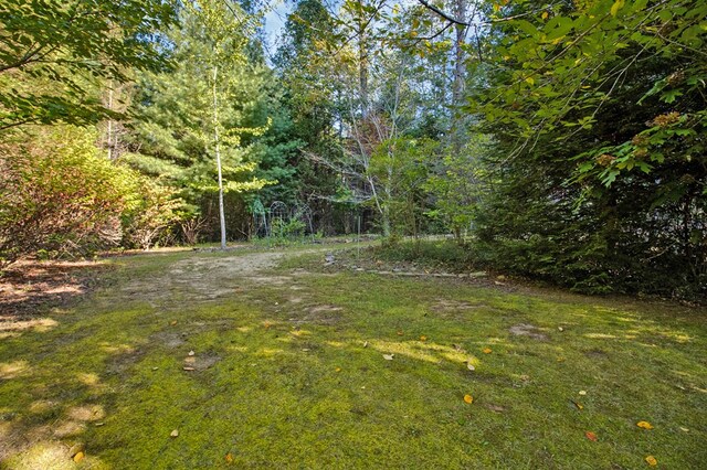 view of yard with a view of trees