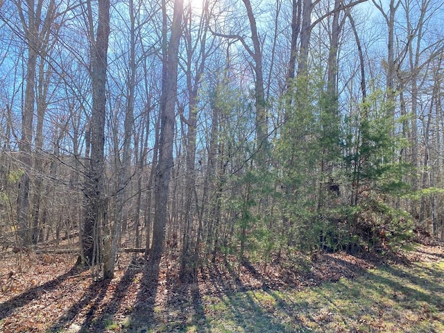 0 Hawks Bluff Rd, Spencer TN, 38585 land for sale