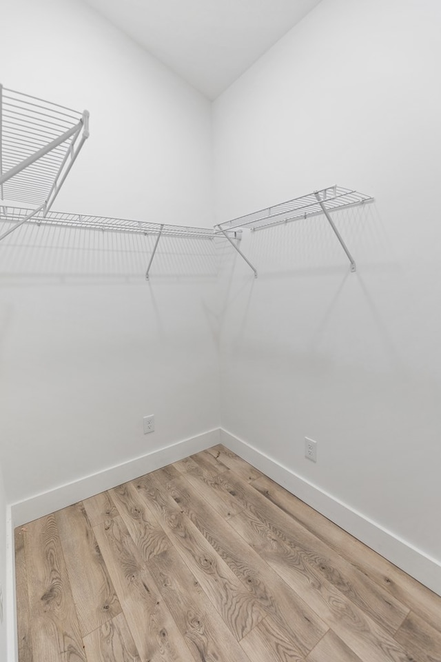 spacious closet featuring wood finished floors