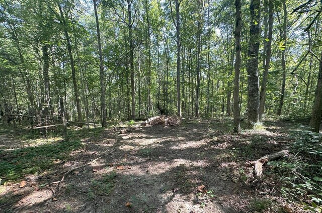 view of nature featuring a forest view