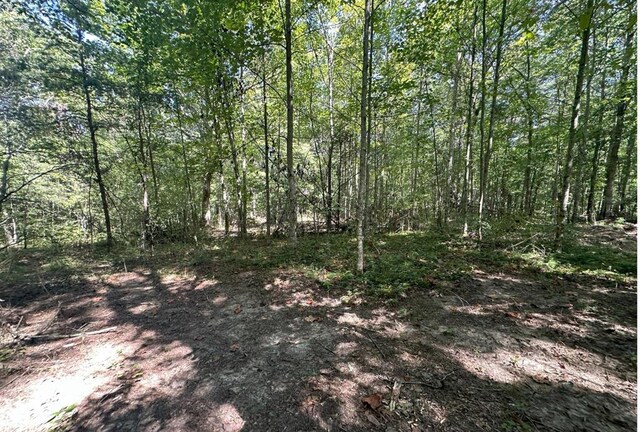 view of landscape featuring a wooded view