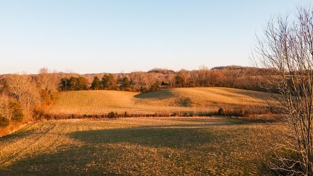 view of nature with a rural view