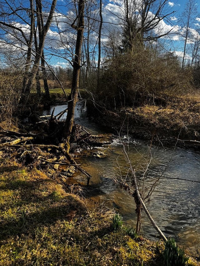 view of nature