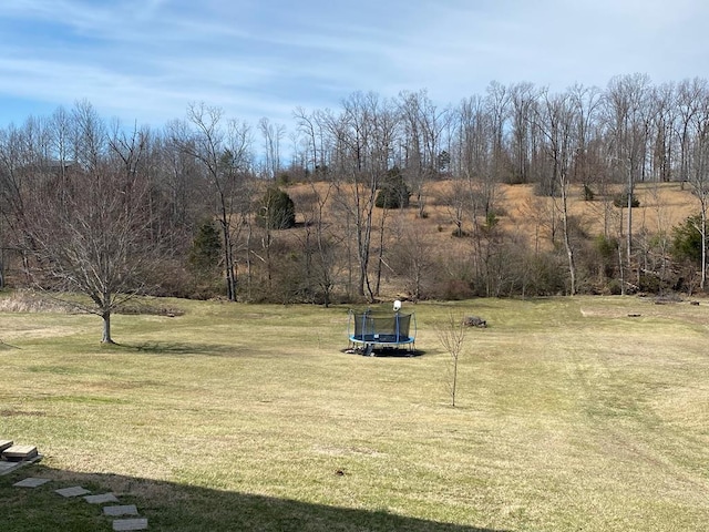 view of yard with a trampoline