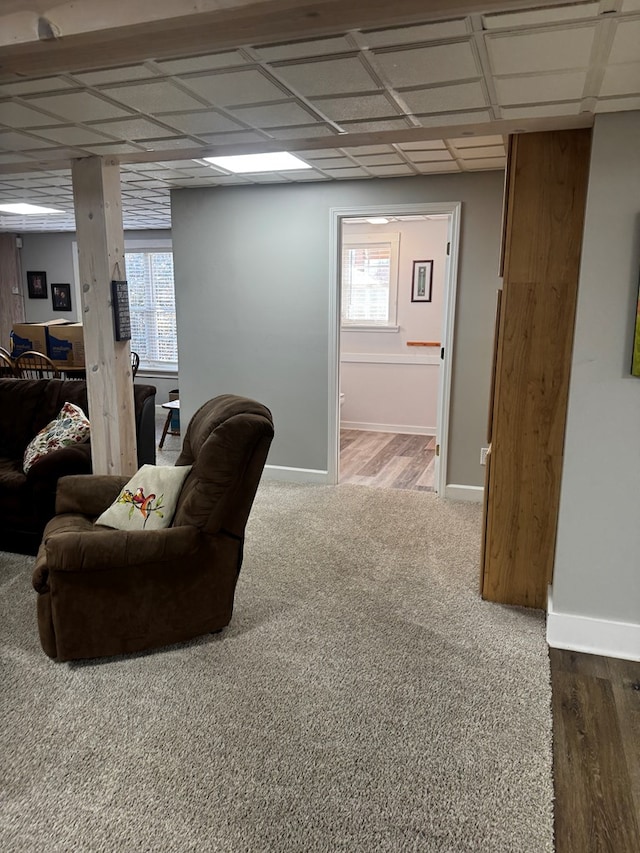 living room featuring carpet, a drop ceiling, and baseboards