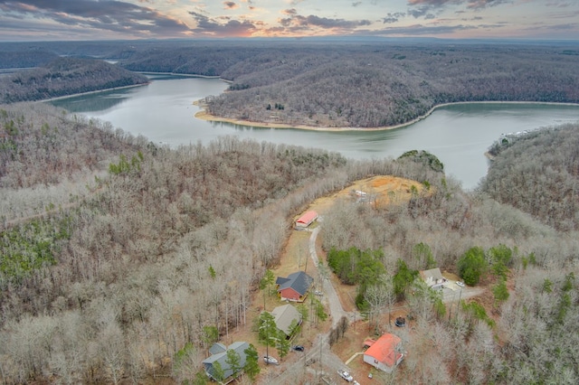 aerial view at dusk featuring a water view and a view of trees