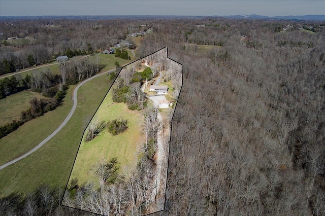 bird's eye view with a view of trees