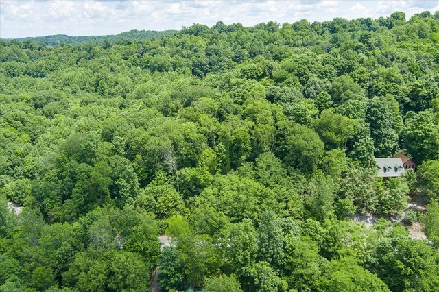 Listing photo 3 for 0.94AC Shoreside Dr, Smithville TN 37166