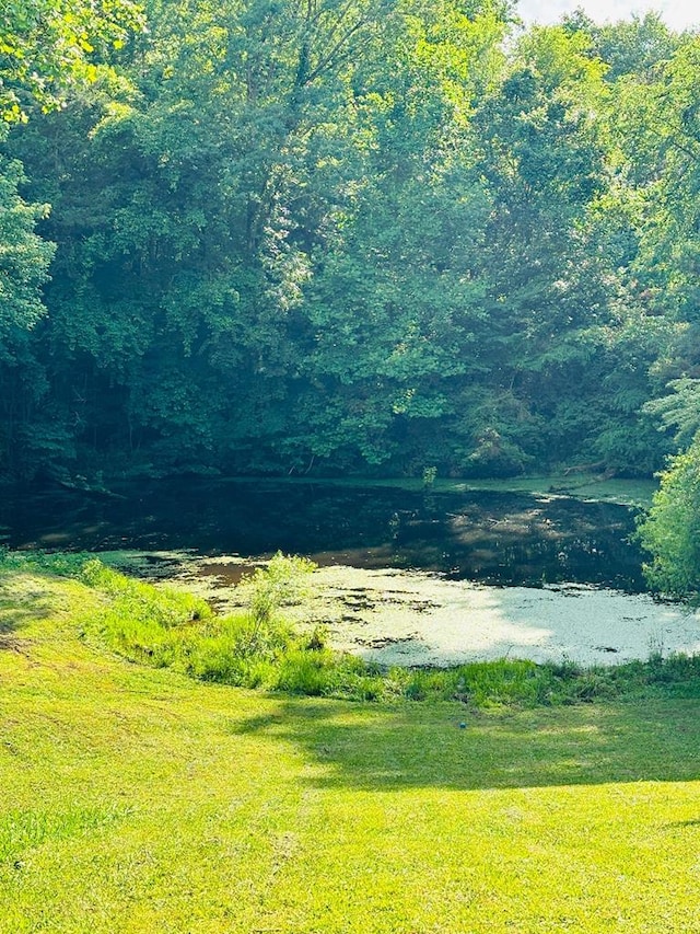 view of yard with a wooded view