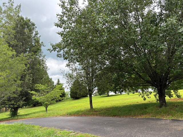 view of road