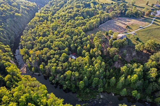 drone / aerial view featuring a water view and a view of trees