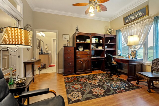 home office featuring light wood finished floors, a ceiling fan, and crown molding