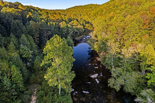 bird's eye view with a water view and a forest view