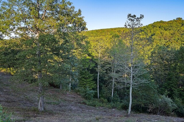 view of landscape featuring a view of trees