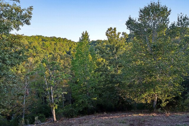 view of local wilderness featuring a forest view