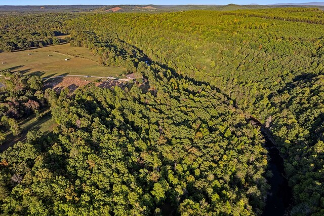 aerial view with a wooded view