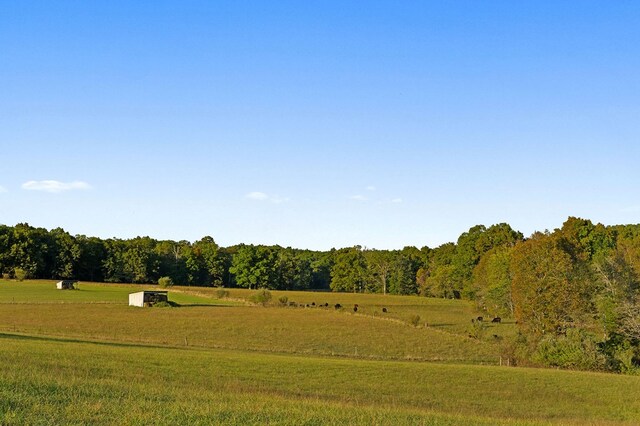 view of property's community with a yard, a rural view, and a forest view