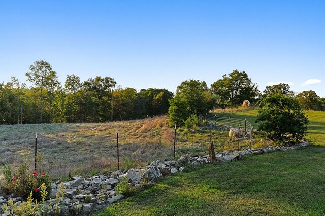 view of yard featuring fence and a rural view