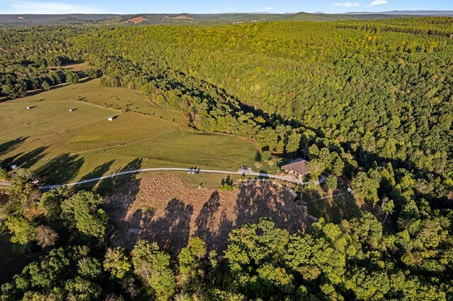 bird's eye view with a forest view