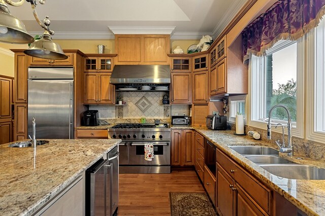 kitchen featuring wall chimney exhaust hood, premium appliances, a sink, and glass insert cabinets