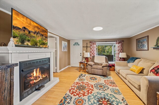 living area featuring crown molding, light wood finished floors, a textured ceiling, a lit fireplace, and baseboards