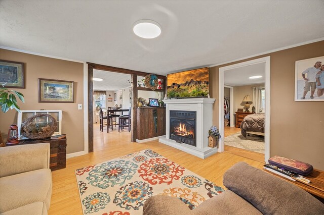 living room with light wood finished floors, a glass covered fireplace, and a healthy amount of sunlight