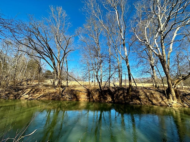 view of water feature