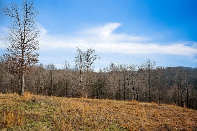 view of landscape with a view of trees