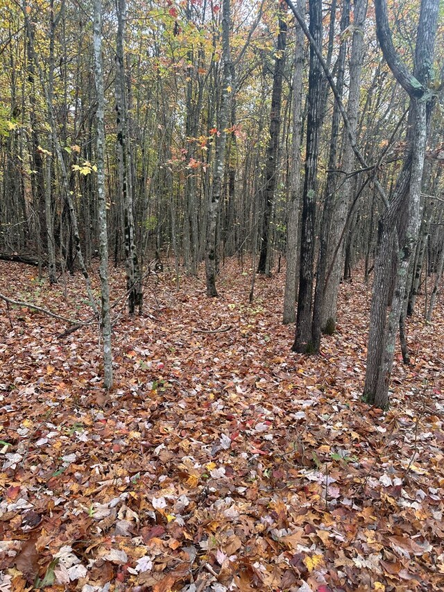 Listing photo 2 for LOT48 Parkstown Rd, Wilder TN 38589