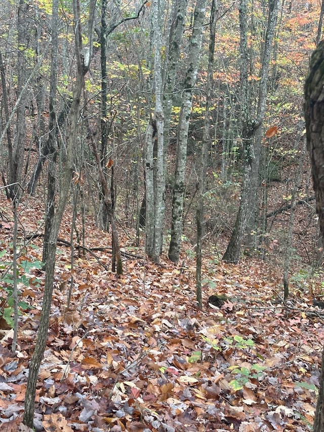 Listing photo 3 for LOT48 Parkstown Rd, Wilder TN 38589