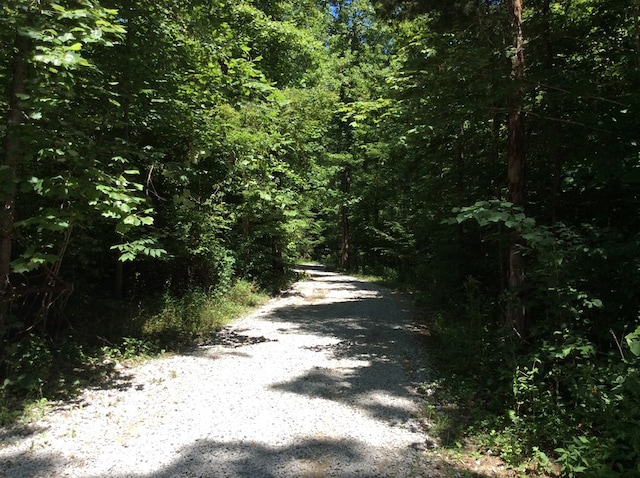 Listing photo 2 for LOT151 Steel Tram Rdg, Crawford TN 38554