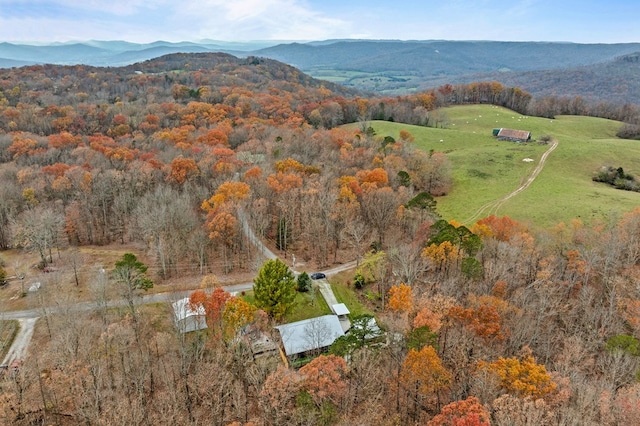 birds eye view of property with a mountain view