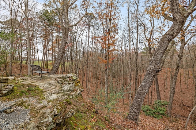 view of landscape