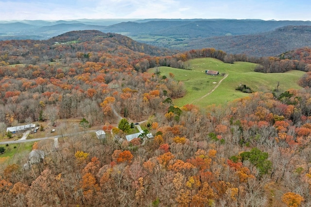 bird's eye view featuring a mountain view